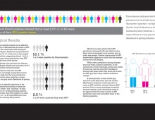 Mancount report 2010