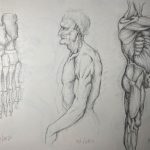 Pencil drawings copied from book about Leonardo da Vinci's- foot skeleton, older man, musculature of male model